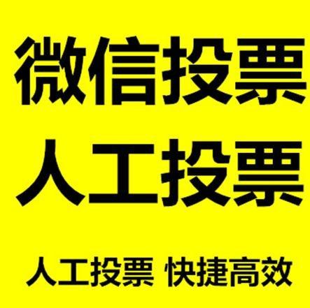 抚顺市投票活动拉票能被查出来吗？如何操作能不被发现？